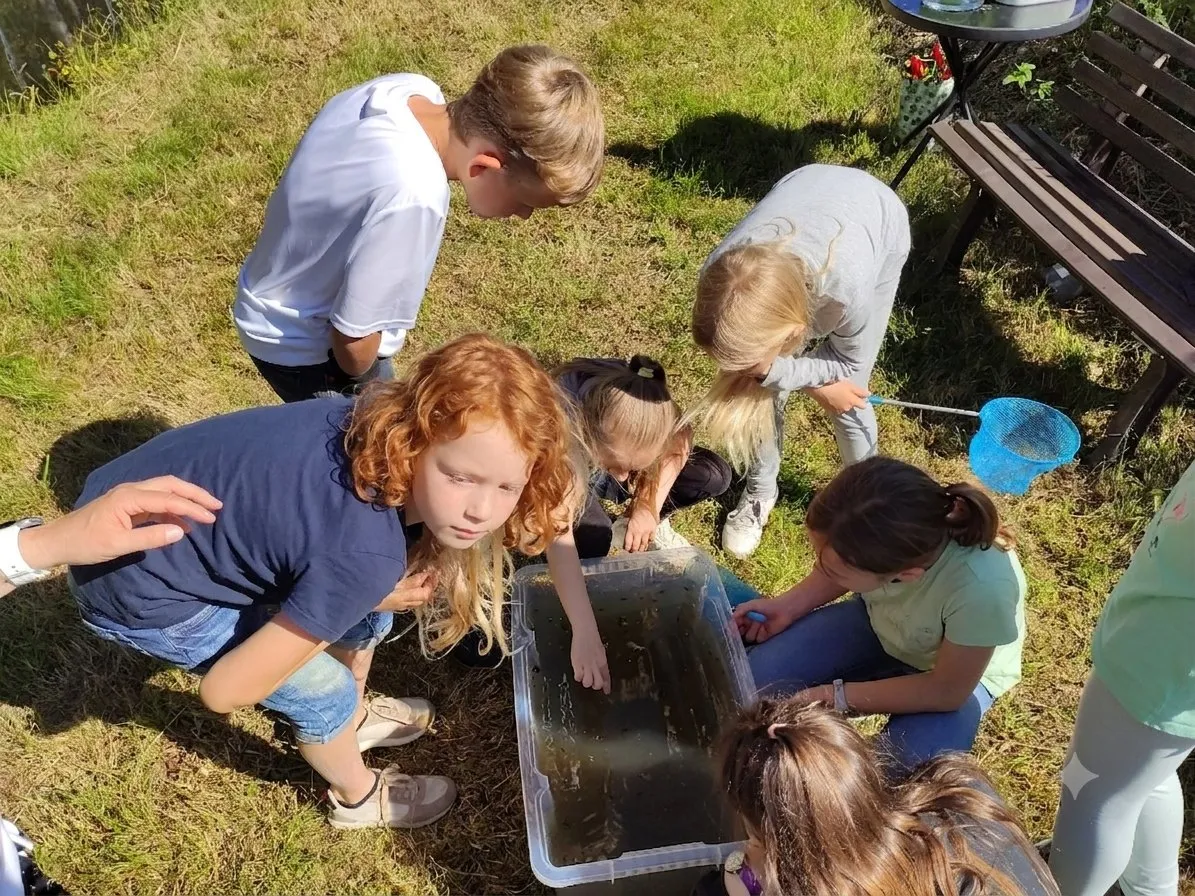 Kinder keschern gemeinsam in einer Wanne mit Teichwasser