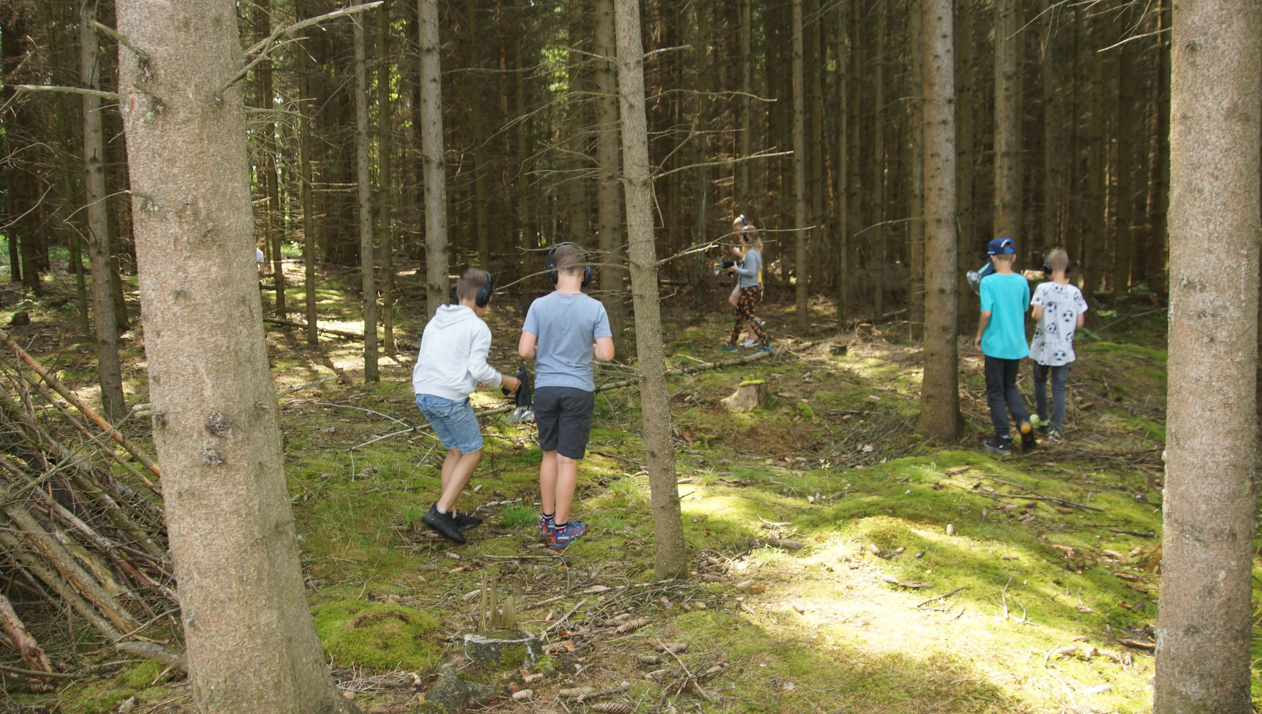 Kindergruppe geht zwischen hohen Kiefern über den Waldboden