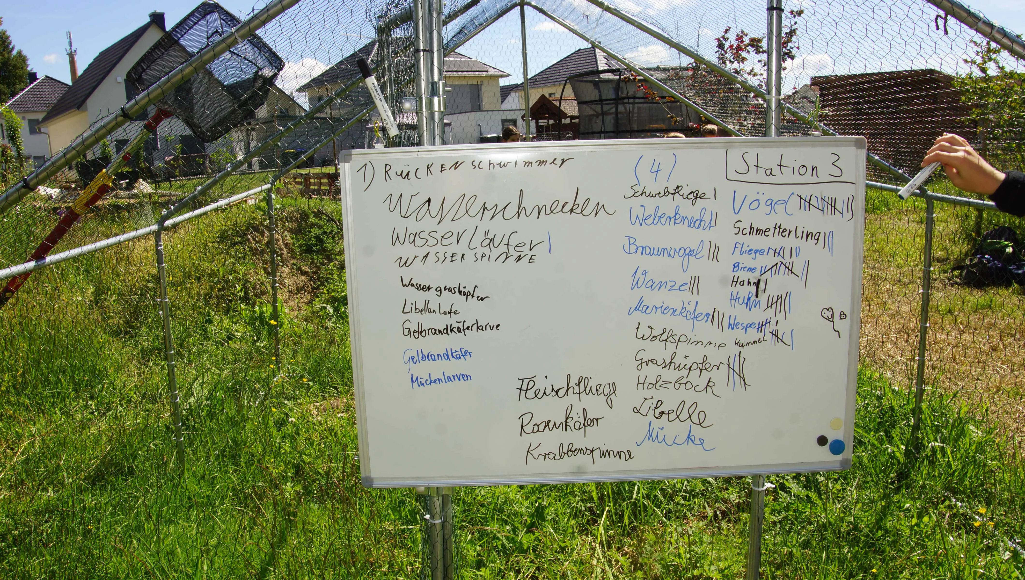 Whiteboard mit gesammelter Artenliste